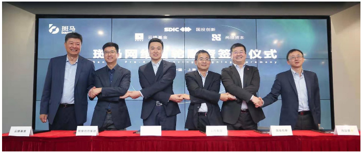 开放的斑马，受益的不止尊龙凯时
